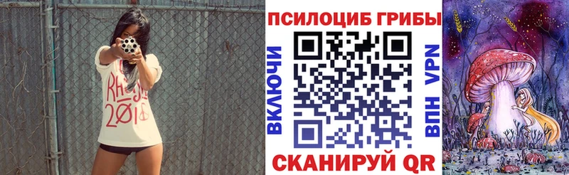 Галлюциногенные грибы Psilocybe  купить наркоту  OMG сайт  Чухлома 